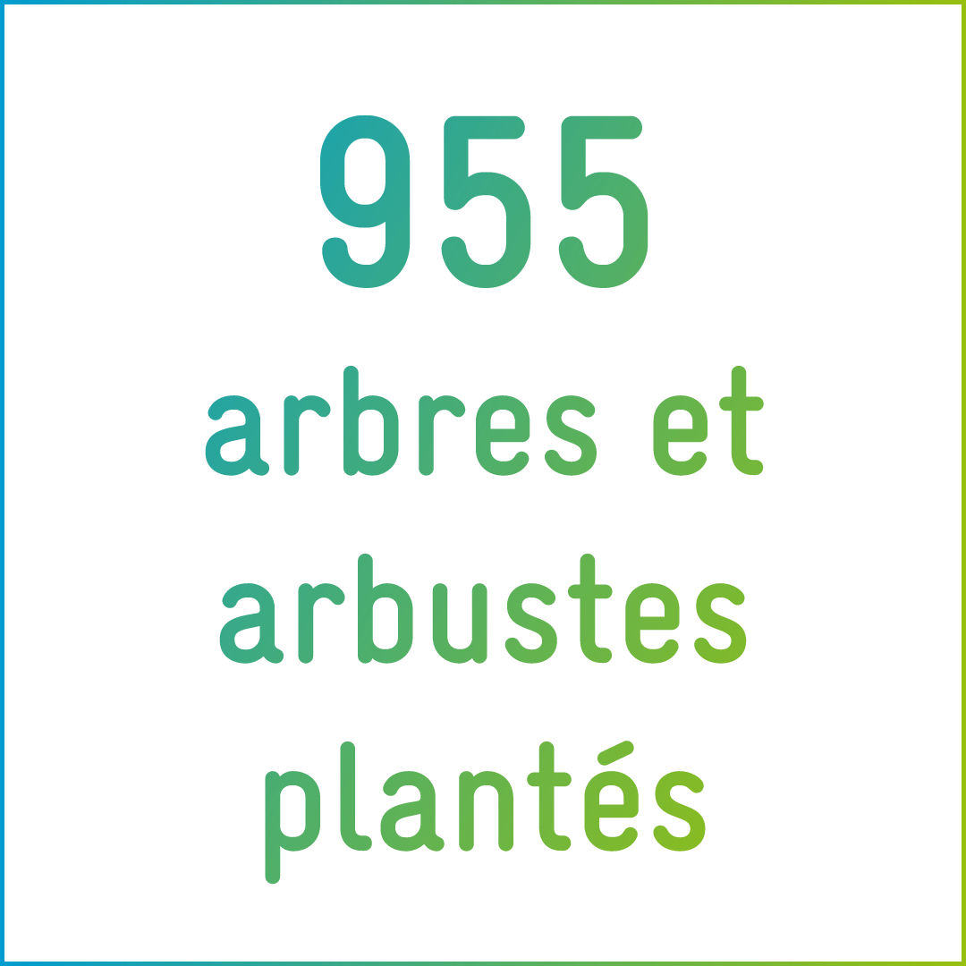 955 arbres et arbustes plantés