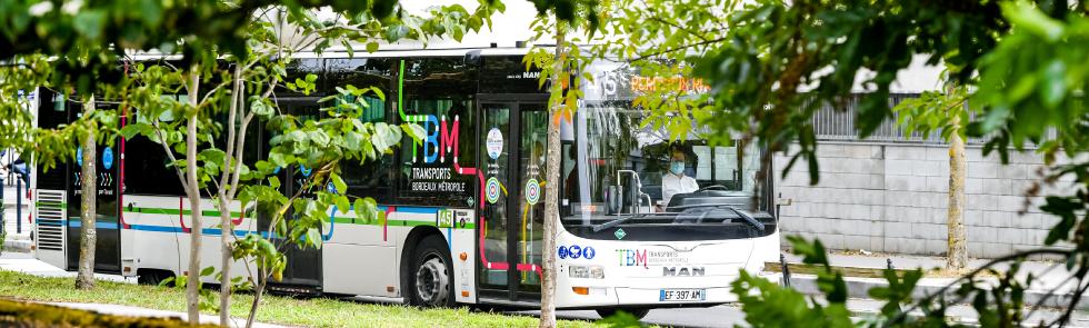 Photo d'un bus roulant prise depuis un espace arboré